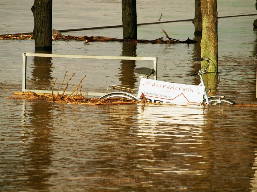 Hochwasser Koeln 2011 Tag 3 P054.JPG